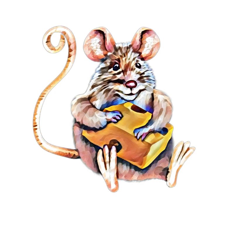 Maus