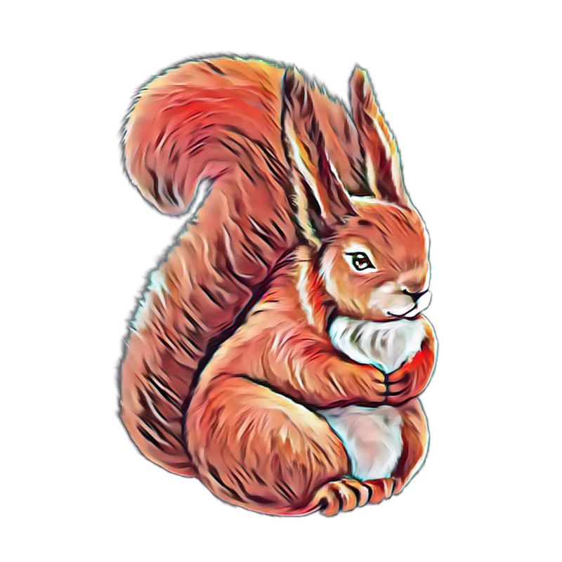 squirrel