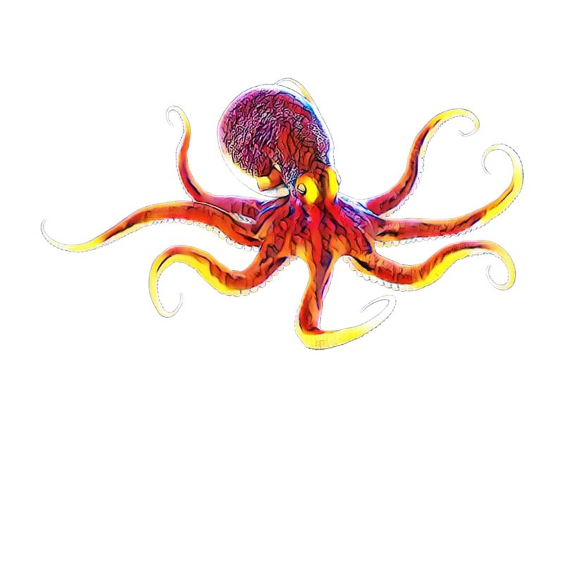 Octopus