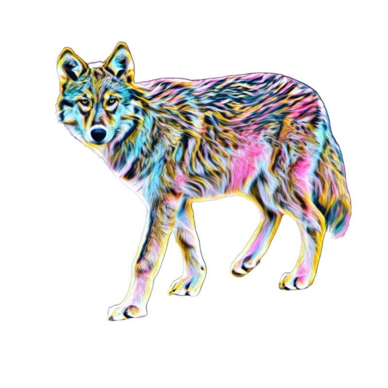 wolf