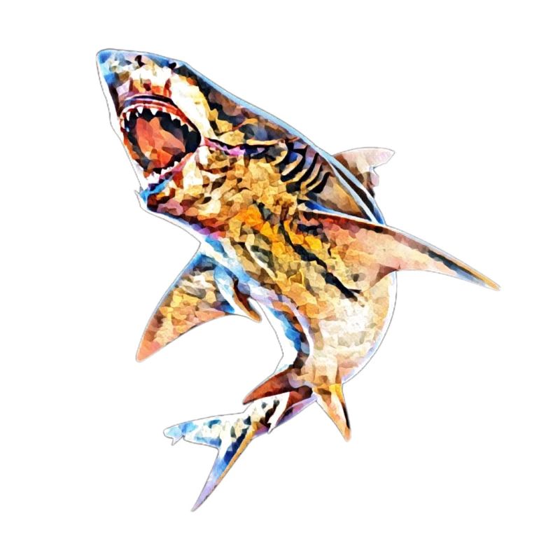 White shark