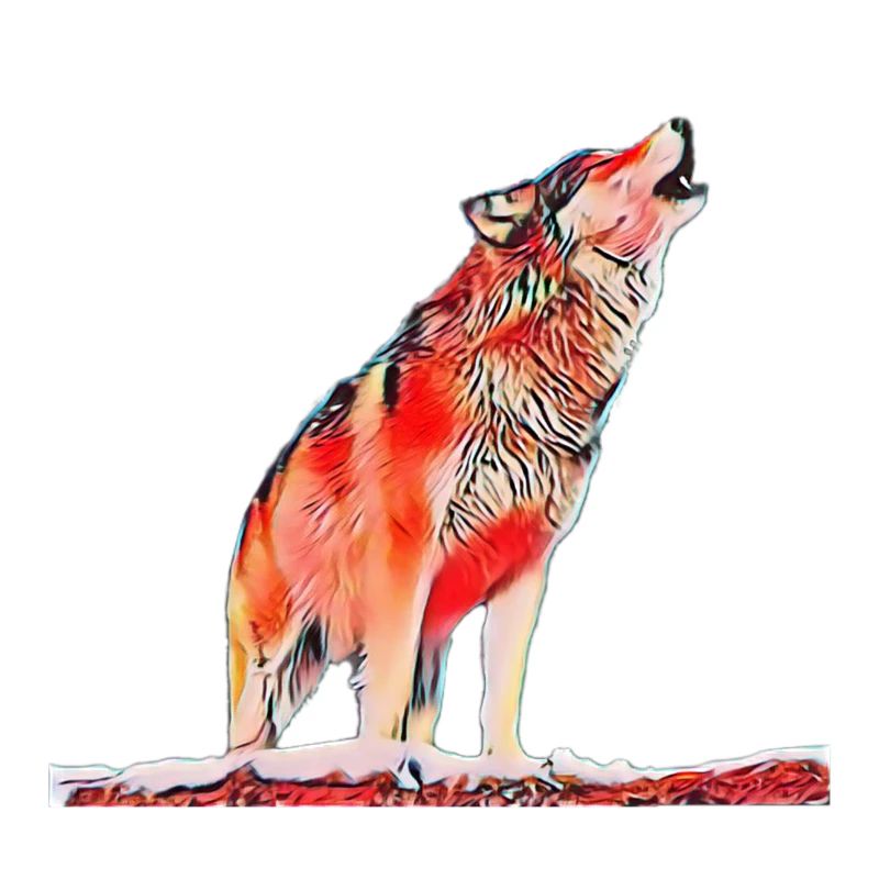wolf