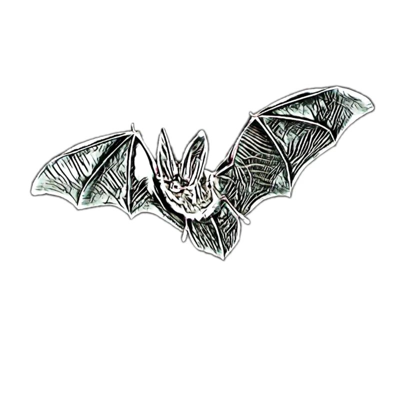 bat
