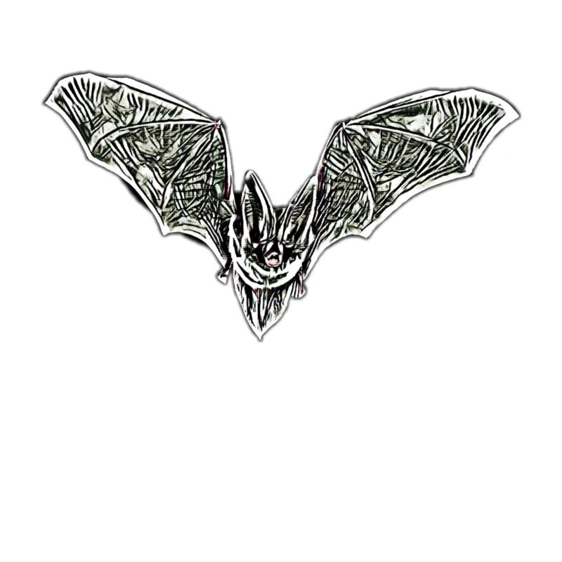 Fledermaus