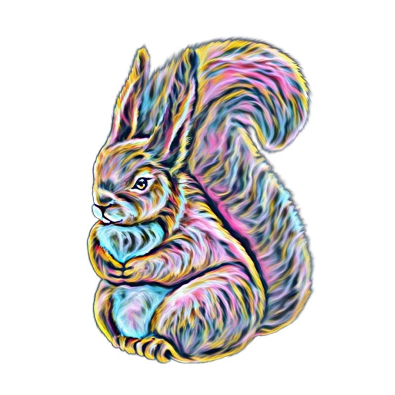 squirrel