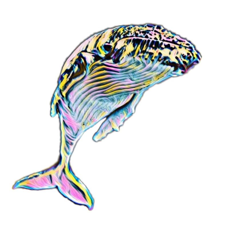 baleine