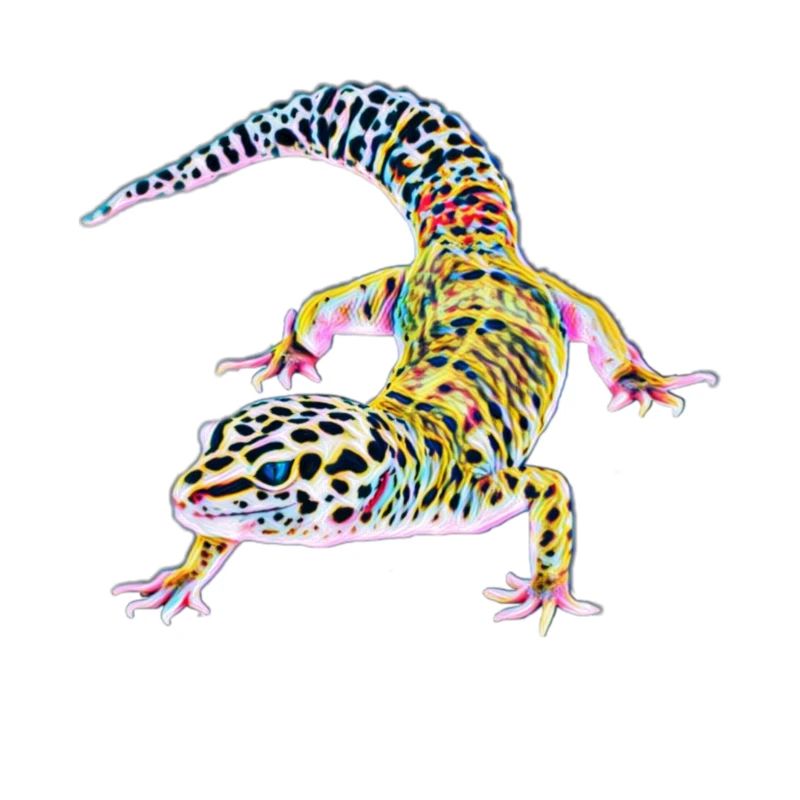 Gecko