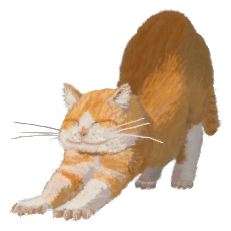 Rote Katze