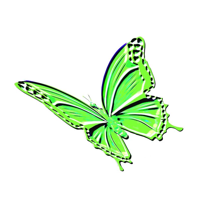 Papillon vert