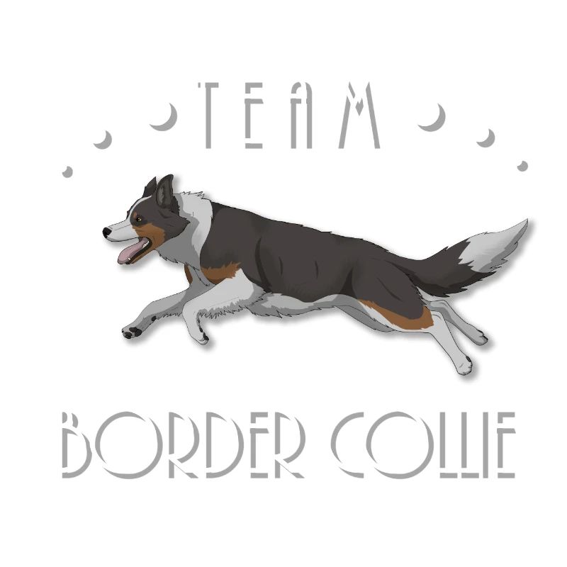 Team Border Collie - Black Tri