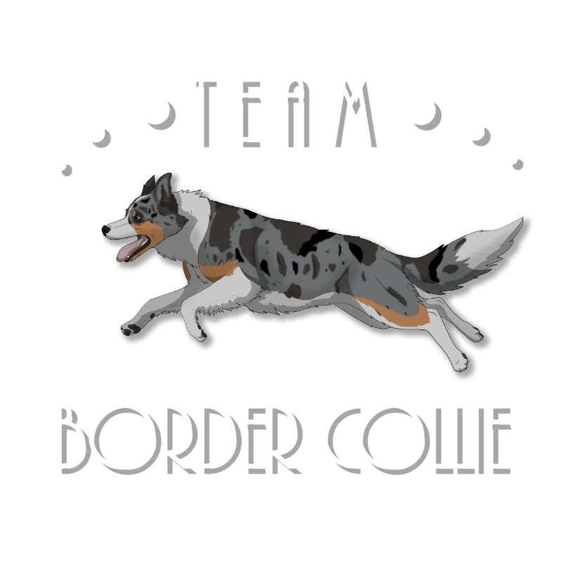 Team Border Collie - Blaue Merle Tri