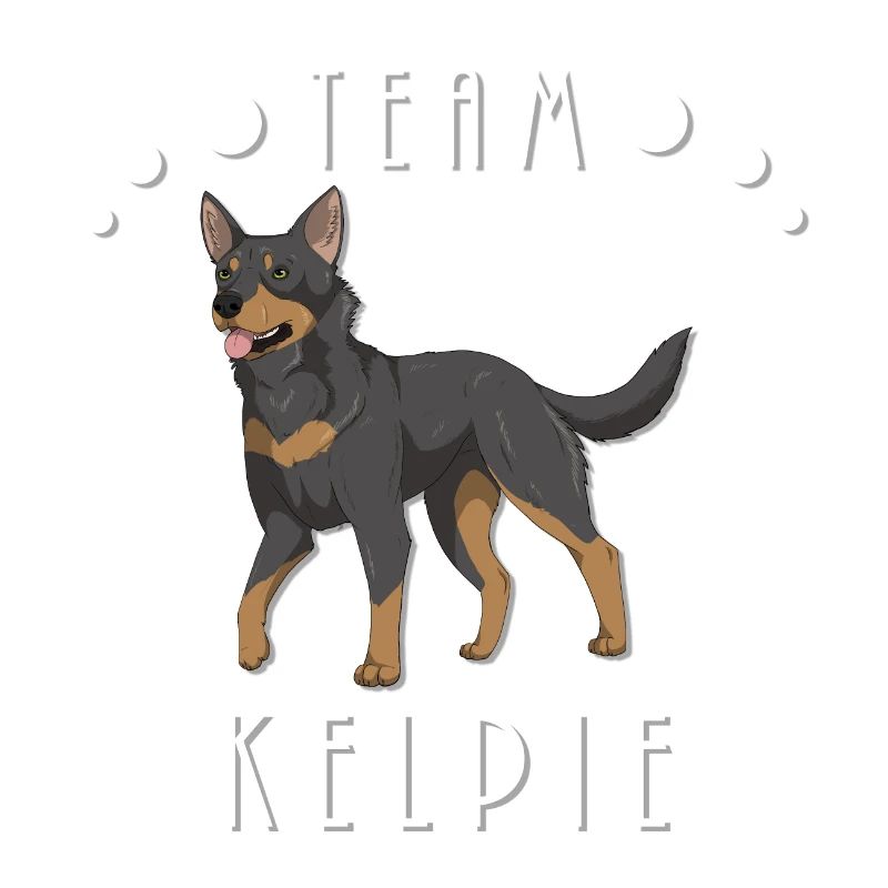 Team Kelpie - Schwarz und Hellbraun