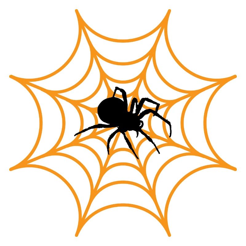 Spinne