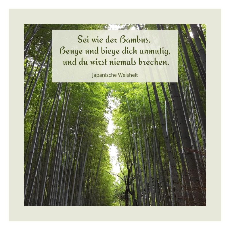 Sei wie der Bambus