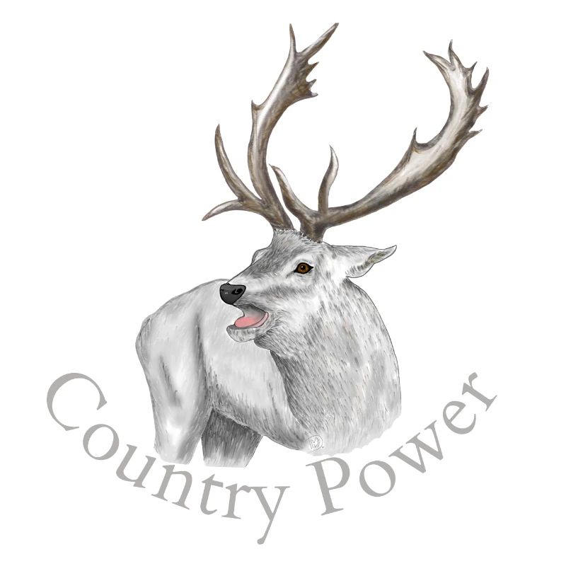 White Deer