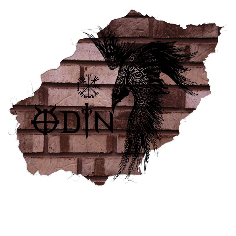 Corbeau d’Odin