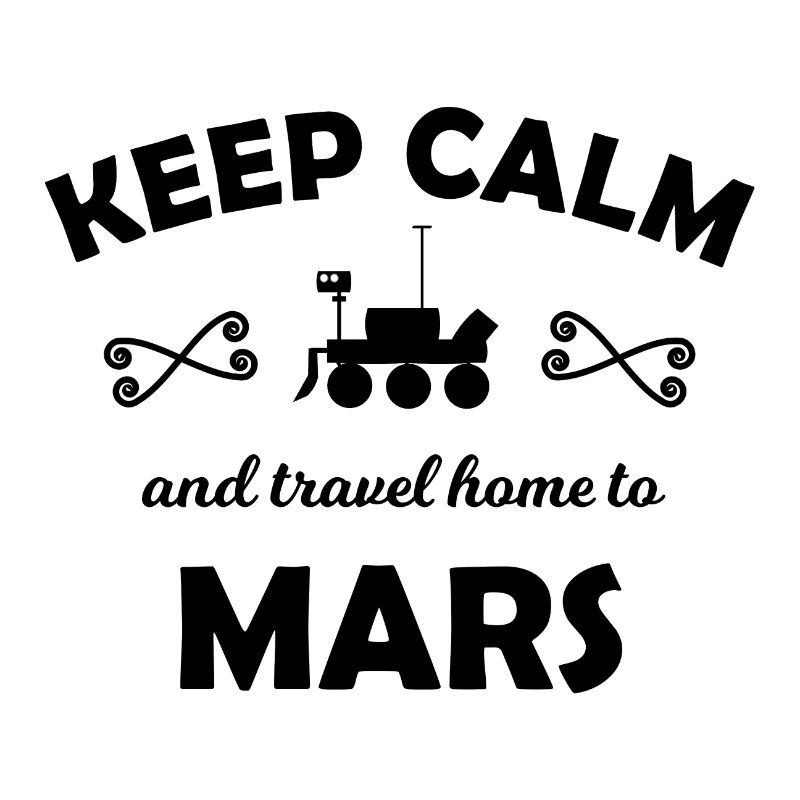 Holidays in space