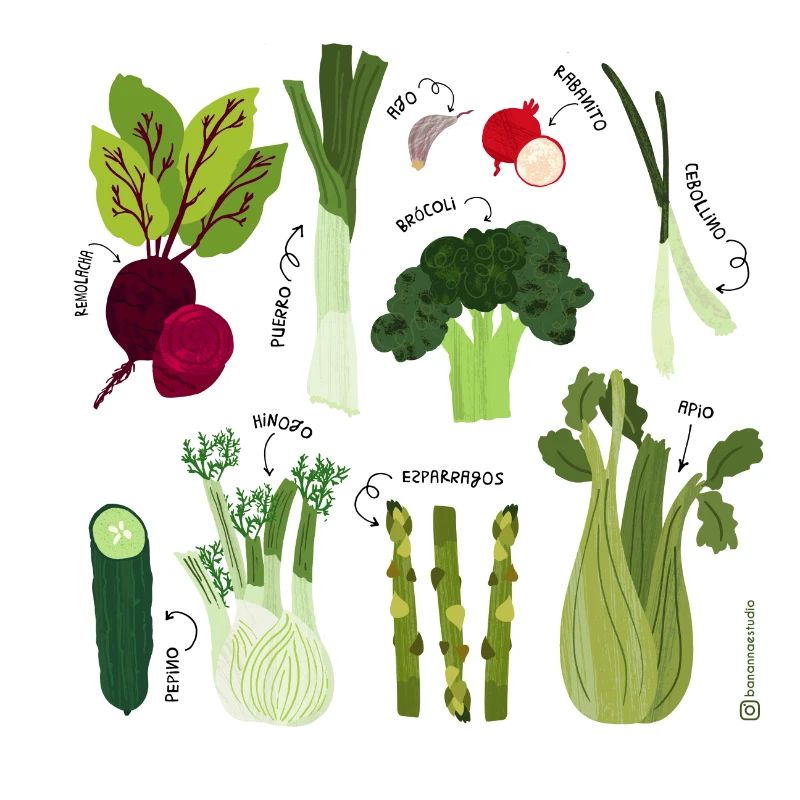 Adorable vegetables