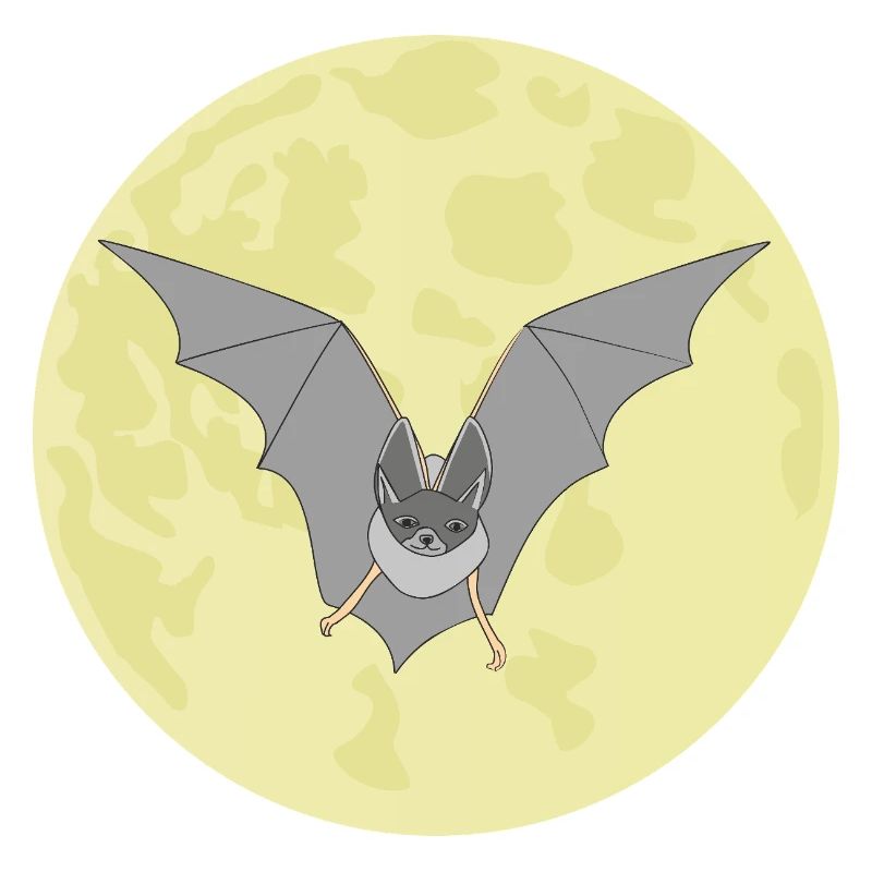 Fledermaus