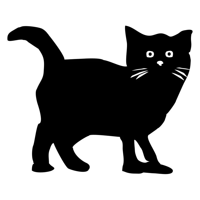 Katze