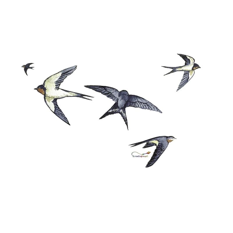 Barn swallows