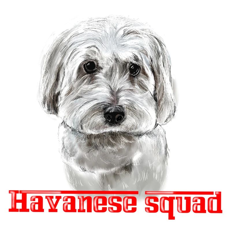 Havanese dog squad