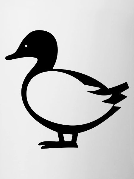 canard