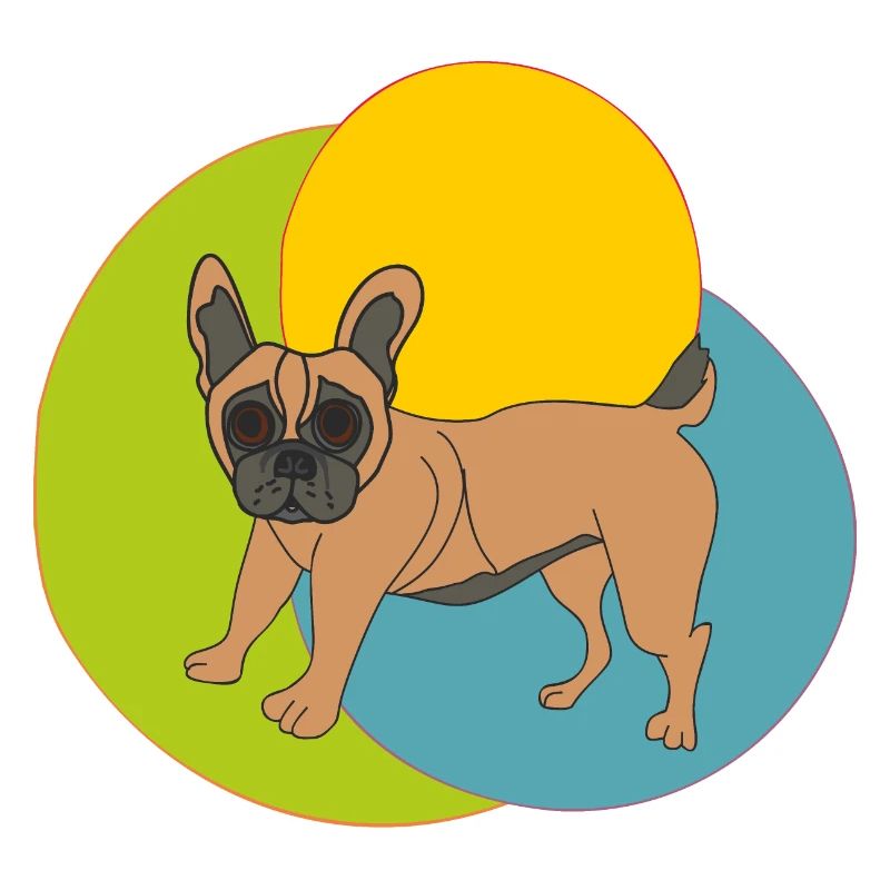 Drôle de chien