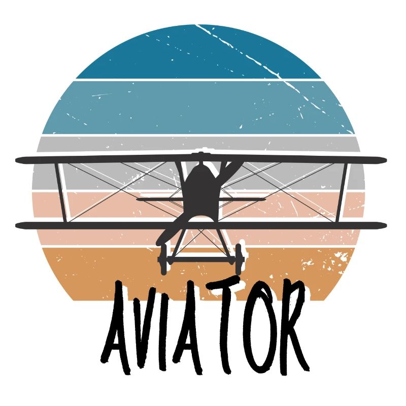 Aviator Airplane Pilot Pilot