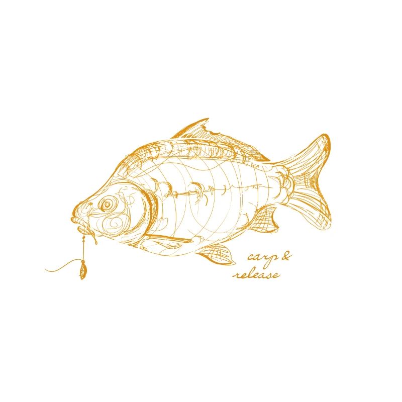 carp and release