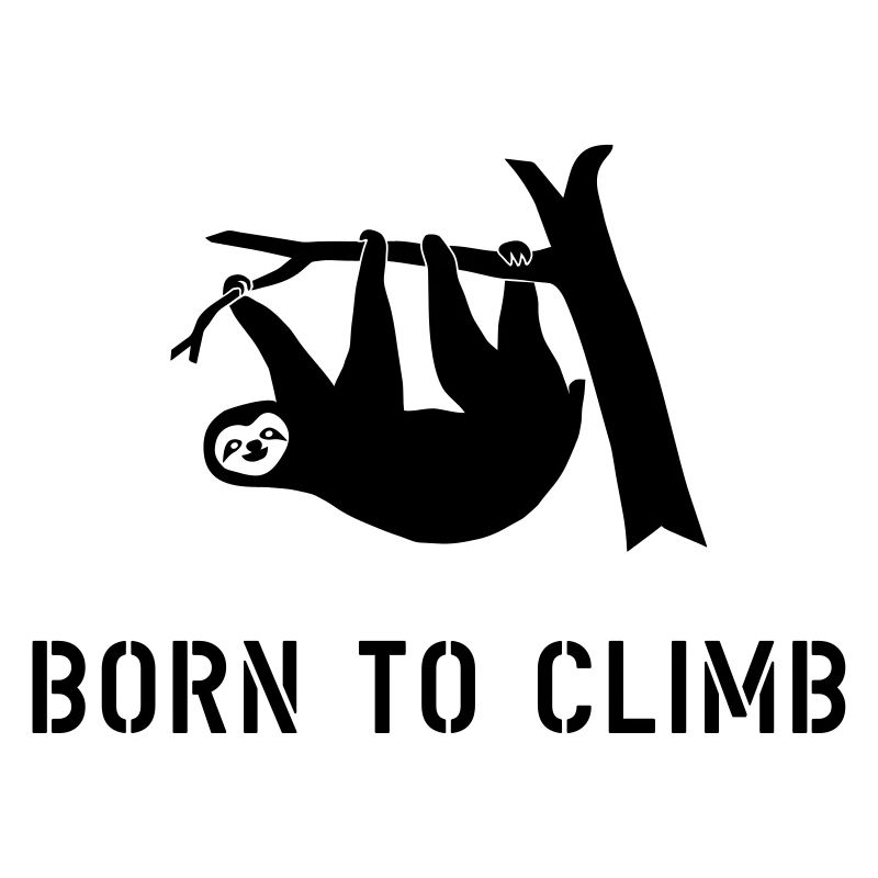 climbing boulder mountain sloth born to climb