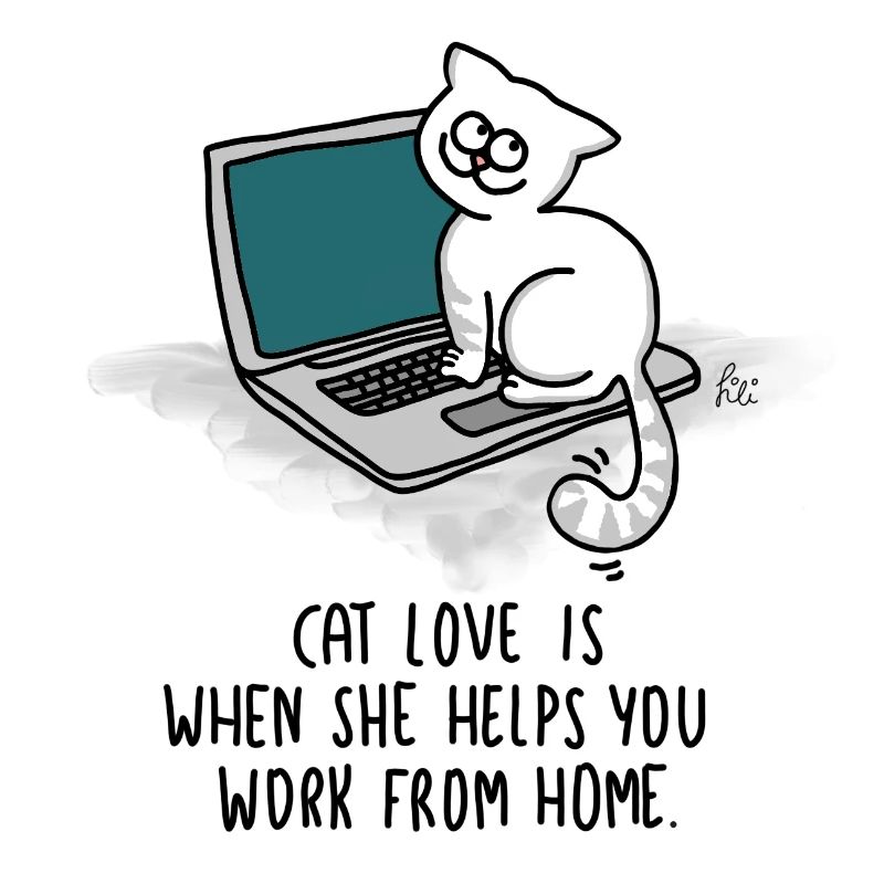 Cat love is when she helps you work from home
