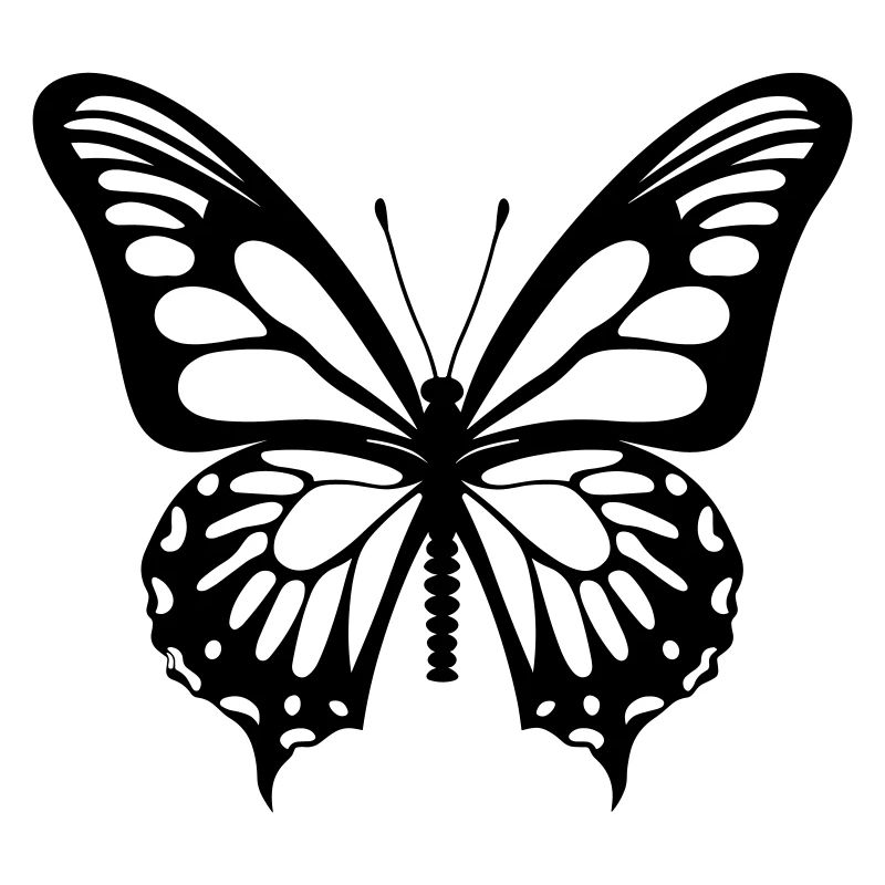 Papillon