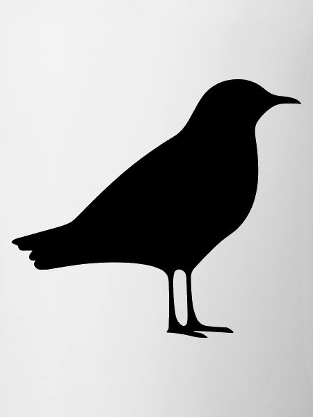 Seagull