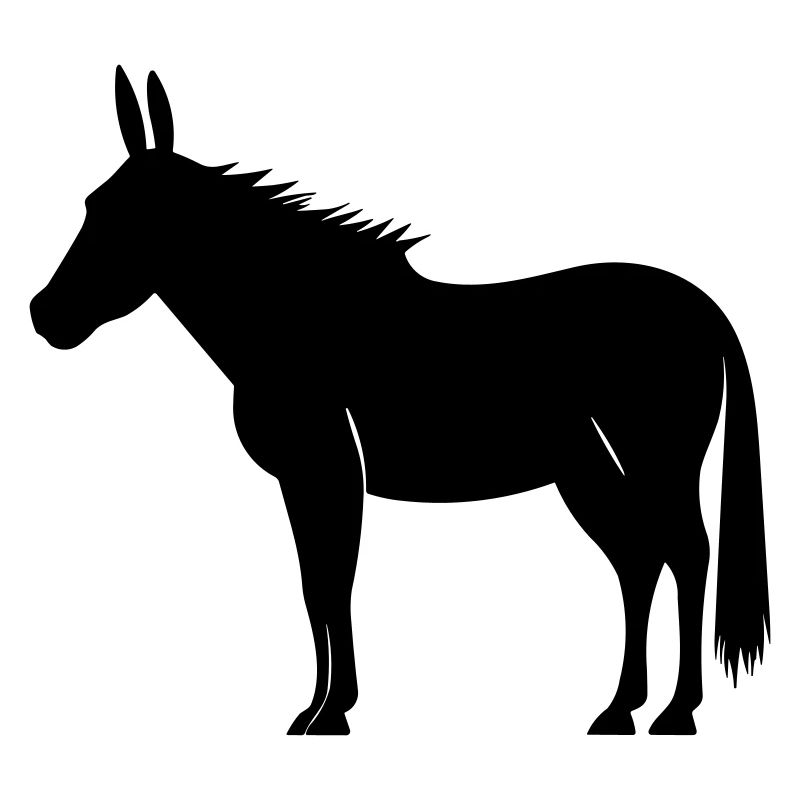 âne