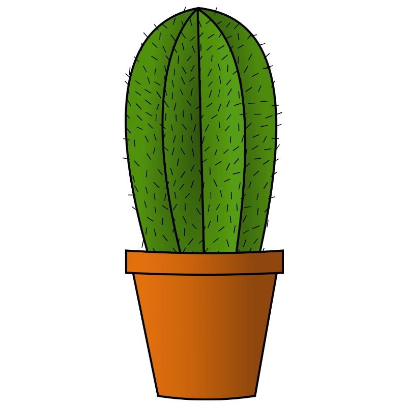 cactus cactus cactus cactus Mexique mexiko56
