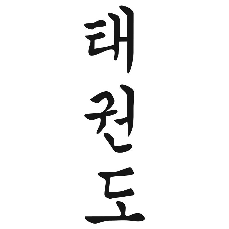 Tae Kwon Do in Korean 1c