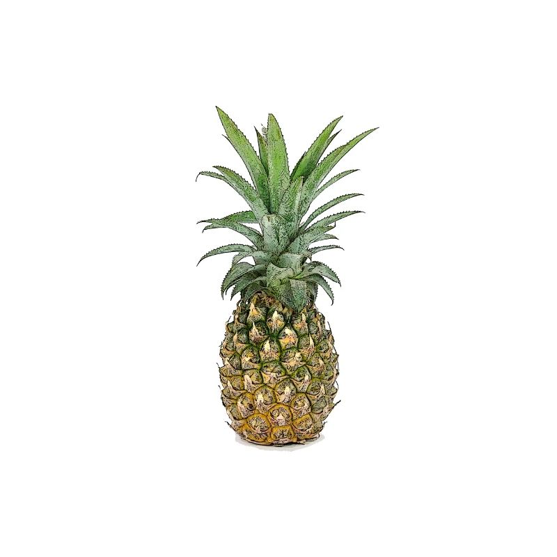 Pineapple | Pineapple