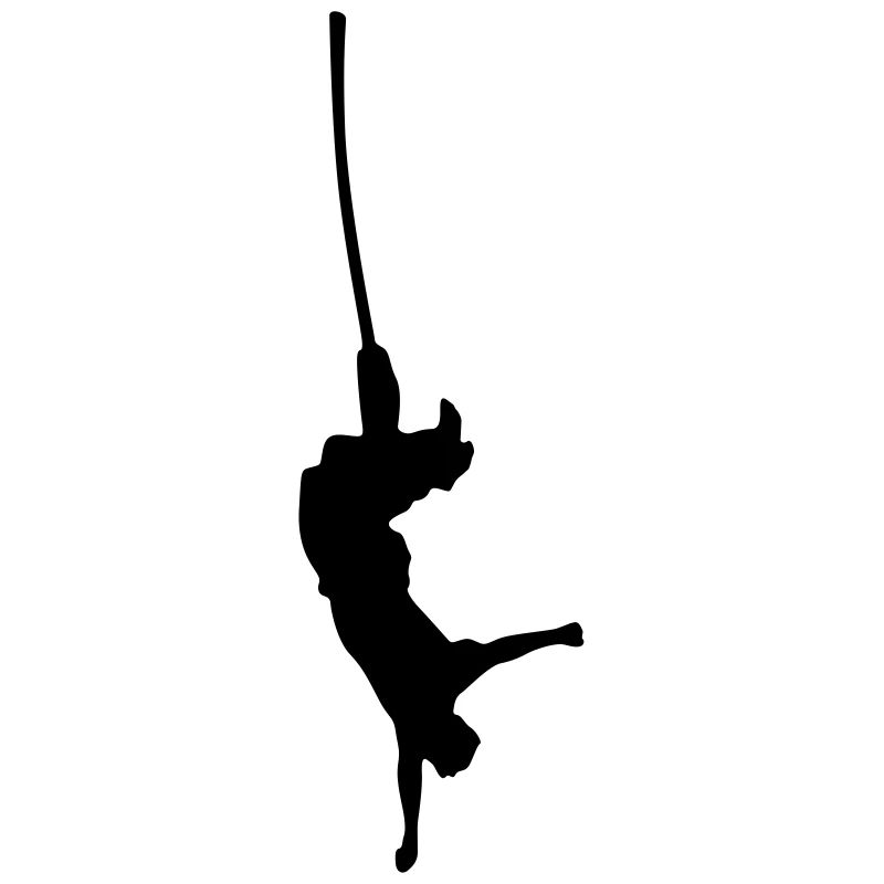 saut de bungee