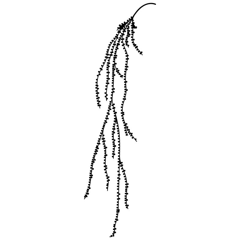 Plante suspendue