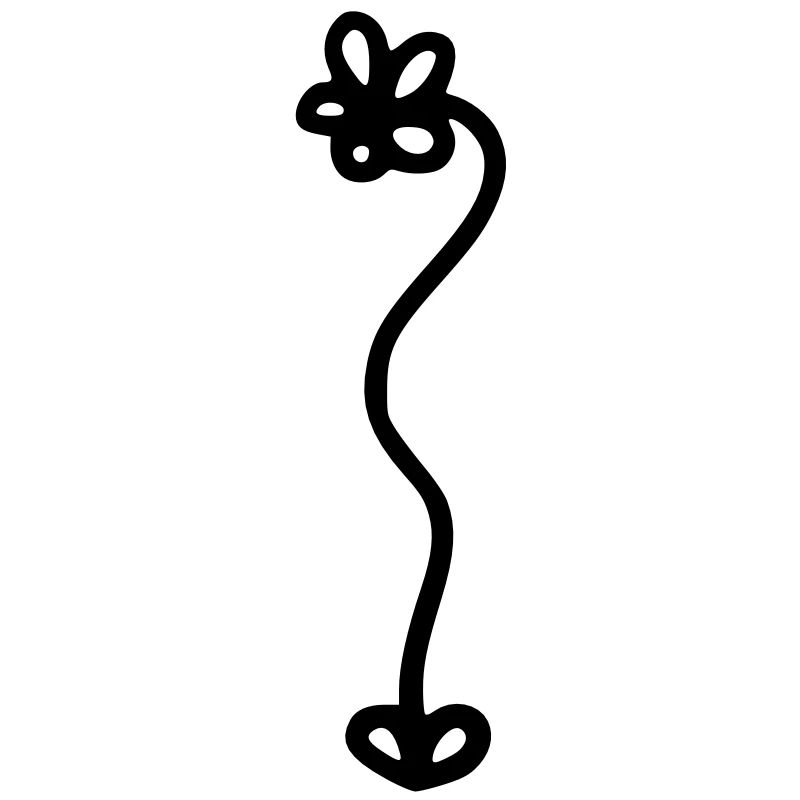 Augsburgblume