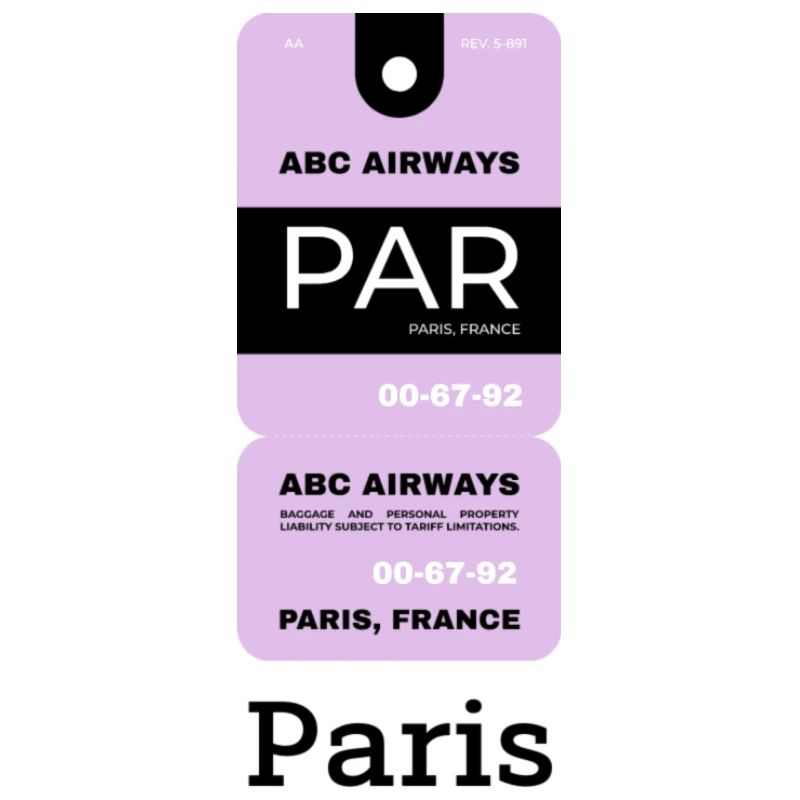 Paris Flight Ticket