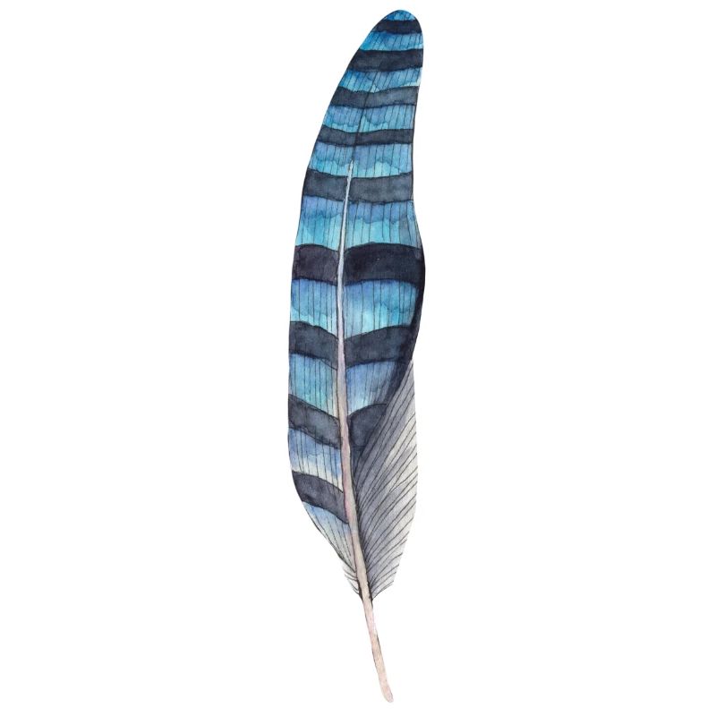 Plume bleue noire