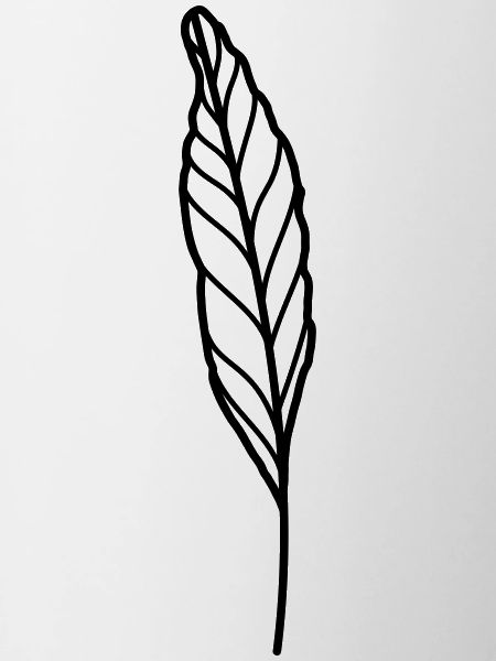blatt