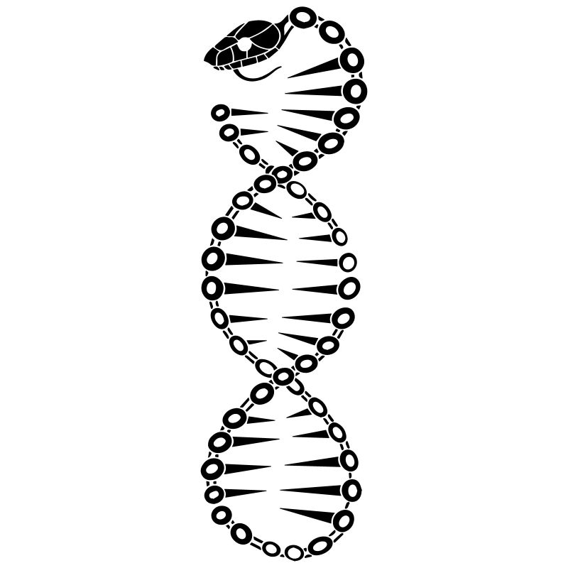 Serpent ADN 2