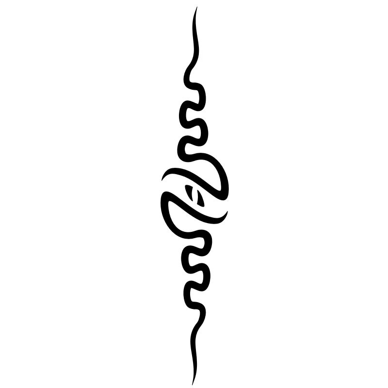 spine_front