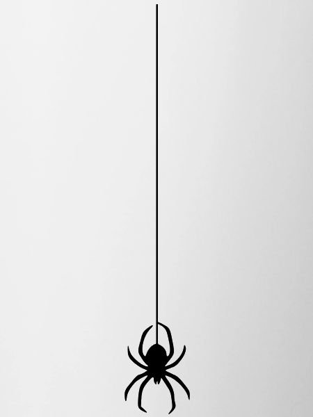 spinne am faden