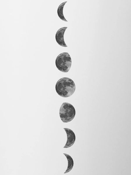 The lunar cycle