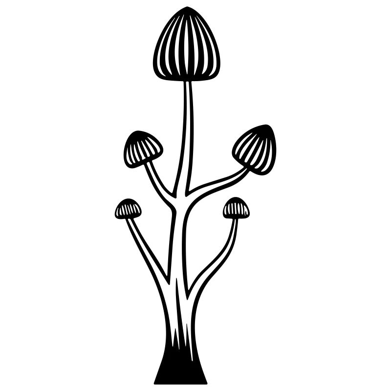 Champignon
