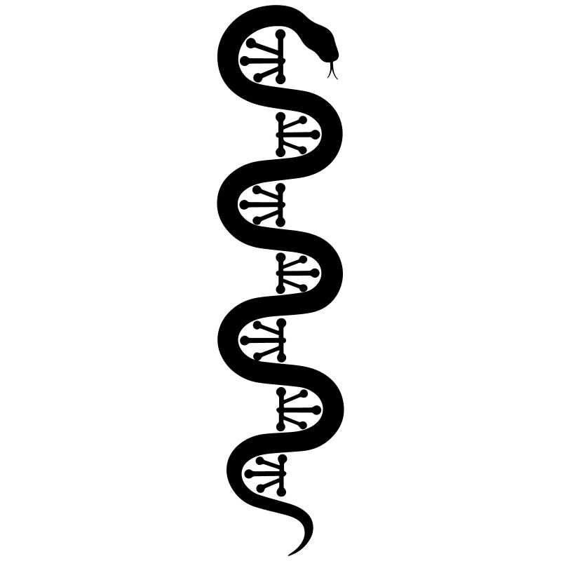 DNA Snake 3